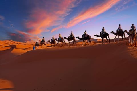 said merzouga gallery image 1